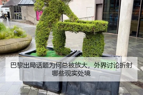 ba-li-chu-ju-hua-ti-wei-he-zong-bei-fang-da-wai-jie-tao-lun-zhe-she-na-xie-xian-shi-chu-jing-2-221.jpg